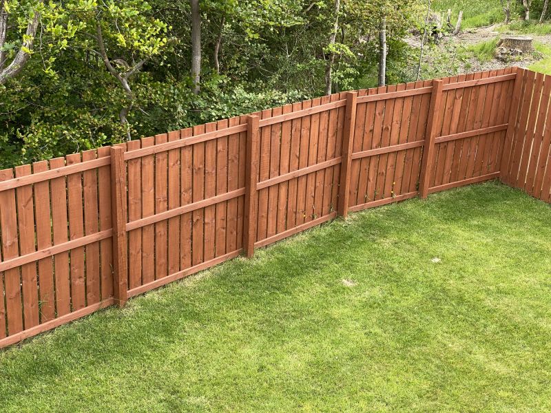Wood Fence Painting