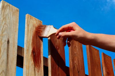 Wood Fence Painting
